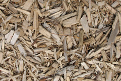 biomass boilers Santon