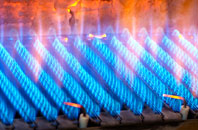 Santon gas fired boilers